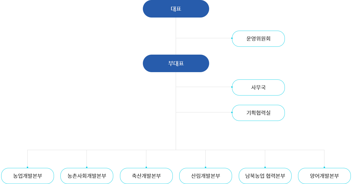 조직도 이미지